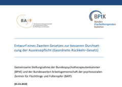 Deckblatt der Gemeinsame Stellungnahme der BPtK und der BAfF